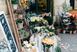 Commerce Maison et décoration Fleurs de Lune