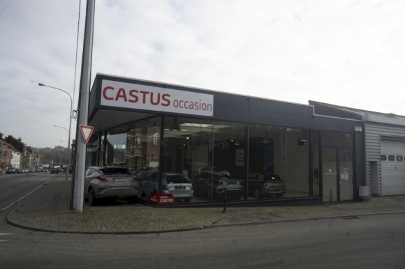 Toyota Castus Group Occasion